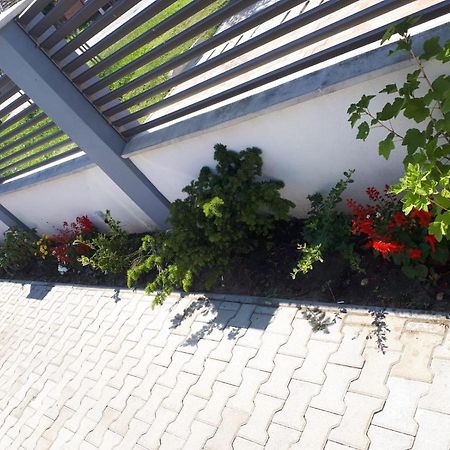 Apartament Saguna Sînnicolau Mare Dış mekan fotoğraf