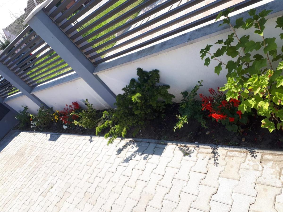 Apartament Saguna Sînnicolau Mare Dış mekan fotoğraf